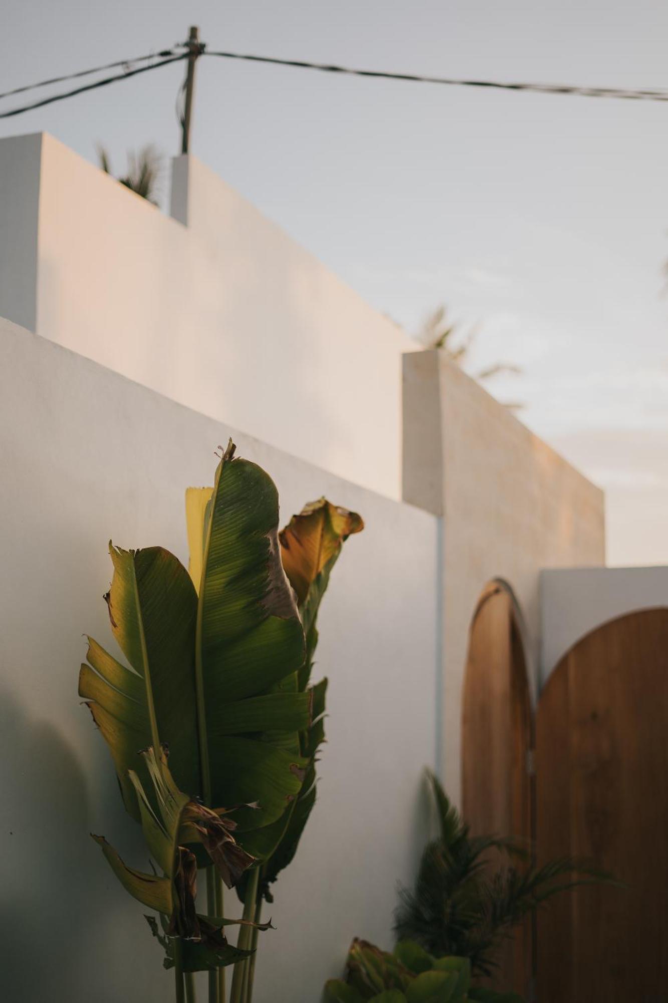 Brandon Villa Lovina With Private Pool Luaran gambar